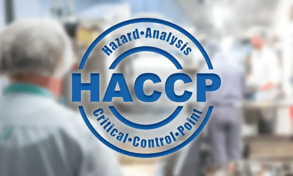 Why Implement HACCP in Your Food Business?