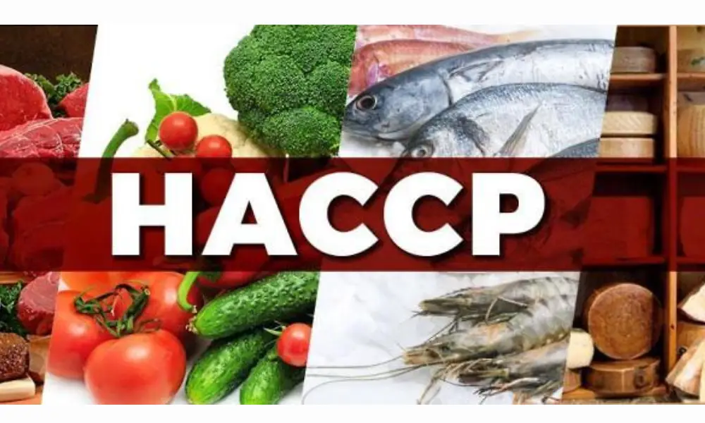 what are the 7 steps in HACCP