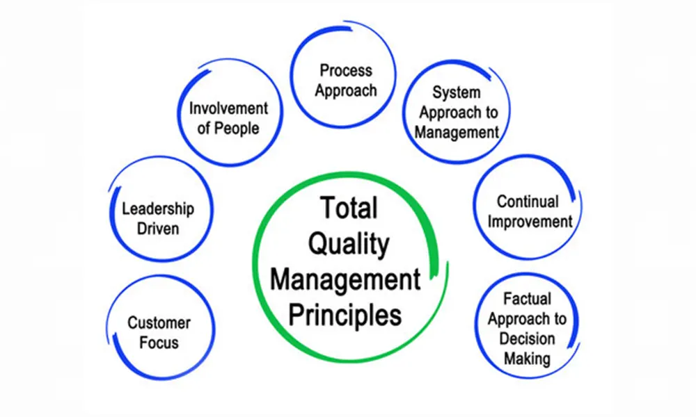 Basic Principles of Total Quality Management